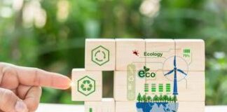 Dal Green Deal agli Omnibus: la nuova fase della politica ambientale europea