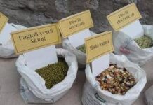 Dalle lenticchie alla cicerchia, ad ogni legume le sue proprietà