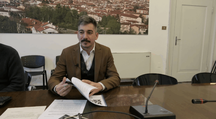Vicenza, aumentano i residenti e i nuovi nati: lo confermano i dati sull’andamento demografico assessore Nicolai andamento demografico vicenza