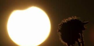 Eclissi solare parziale oggi 17 febbraio, dove si vede e a che ora