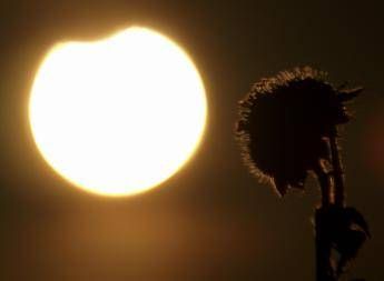 Eclissi solare parziale oggi 17 febbraio, dove si vede e a che ora