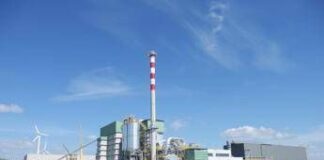 Energia, Ebs: “Biomasse solide infrastruttura strategica, non un costo da tagliare”