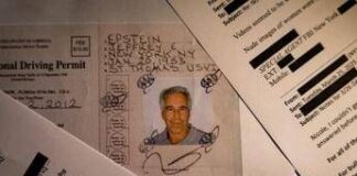 Epstein, nuovi dettagli: finanziere ‘orchestrò’ relazione tra fratello di Musk e una donna