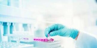 Farmaceutica, vola l’occupazione. E sempre più giovani scelgono la Pharma Academy