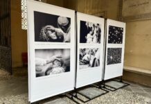 Vicenza, tra cultura e ambiente: nuova mostra su Papa Francesco e manutenzione al Bosco delle associazioni “Francesco. Una luce per l’umanità”, inaugurata a Vicenza la nuova mostra nella piazza culturale del cortile di Palazzo Trissino