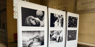 Vicenza, tra cultura e ambiente: nuova mostra su Papa Francesco e manutenzione al Bosco delle associazioni “Francesco. Una luce per l’umanità”, inaugurata a Vicenza la nuova mostra nella piazza culturale del cortile di Palazzo Trissino