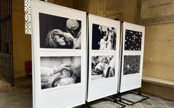 Vicenza, tra cultura e ambiente: nuova mostra su Papa Francesco e manutenzione al Bosco delle associazioni “Francesco. Una luce per l’umanità”, inaugurata a Vicenza la nuova mostra nella piazza culturale del cortile di Palazzo Trissino