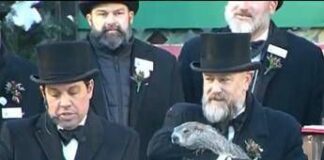 Giorno della marmotta, Phil prevede un lungo inverno (ma spesso sbaglia)