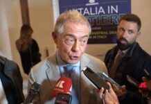 Industria, Urso: “Serve strategia per sfida green”