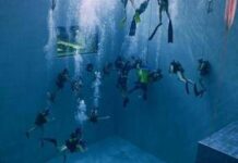 La scienza italiana svela i segreti del cuore sott’acqua