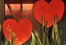 L’amore fa bene al cuore, lo dice la scienza: ecco cosa cambia se si è in coppia