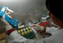 Lupus eritematoso, Moroni (San Raffaele): “Priorità approccio multidisciplinare”