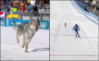 Milano Cortina, nella gara di sci di fondo spunta un lupo. Cos’è successo alle Olimpiadi