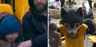 Papà ruba nuggets al figlio allo stadio, lui piange e la squadra lo ricompensa: il video virale