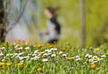 Qualche pioggia, ma continua il caldo: inverno finito in Italia