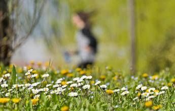 Qualche pioggia, ma continua il caldo: inverno finito in Italia