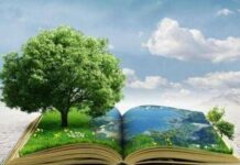 Report: Italia tra i primi tre Paesi europei per numero di brevetti green