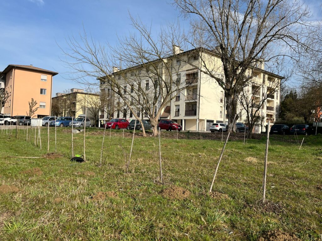 Ripiantumazione bosco delle associazioni a Vicenza