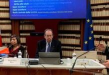 Riva (Cnel): “Puntiamo a obbligo tutela per pazienti fragili”