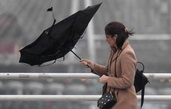 Roma, allerta arancione per forte vento: Gualtieri firma ordinanza