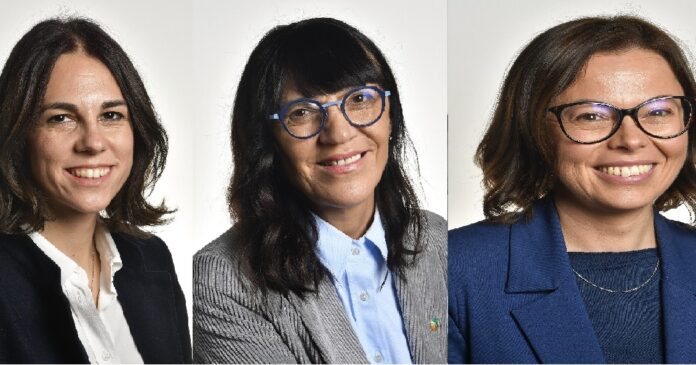 Sambo Bigon Luisetto pd veneto Ambiti Territoriali Sociali Veneto