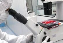 Studio del Bambino Gesù dimostra l’efficacia delle cellule Car-T nelle malattie autoimmuni dell’età pediatrica