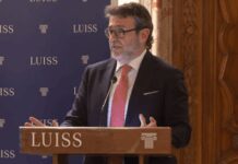 Tlc, Boccardelli (Luiss): “Digitalizzazione leva per la crescita del Paese”