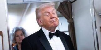 Trump conferma i piani per l’arco trionfale a Washington: “Deve essere il più grande”