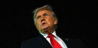 Trump contro i Grammy: “Inguardabili, io mai stato su isola Epstein”