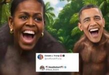 Trump, gli Obama come scimmie: il video razzista rilanciato dal presidente