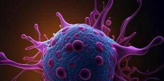 Tumori, aumentano nei giovani: in crescita neoplasie colon, pancreas e polmone