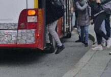 Vicenza, 15enne disabile scaricato dal bus: procedimento disciplinare per l’autista