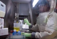 Virus Nipah, studio italiano: sorveglianza in tempo reale per prevenire nuovi focolai