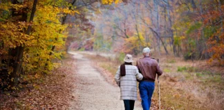 Casa e longevità, nuovo bando a Malo: 18 alloggi ERP per anziani autosufficienti erp malo bando