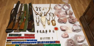 Bracconaggio nel vicentino: inseguimento e denuncia a San Pietro Mussolino bracconiere san pietro mussolino