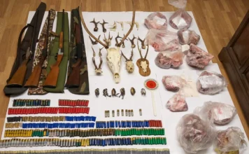 Bracconaggio nel vicentino: inseguimento e denuncia a San Pietro Mussolino bracconiere san pietro mussolino