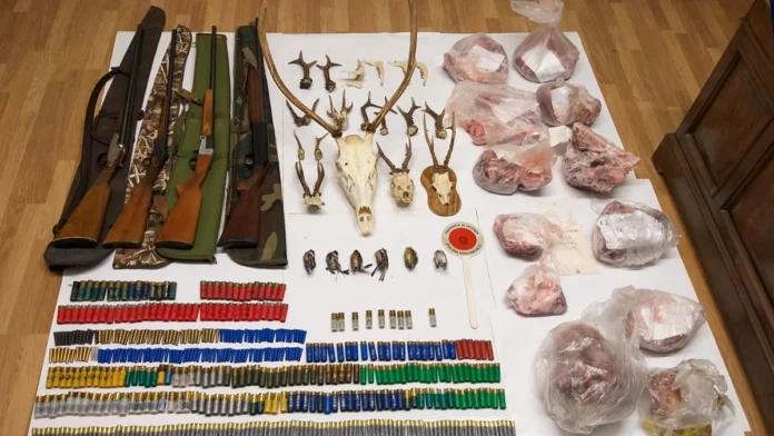 bracconiere san pietro mussolino bracconiere san pietro mussolino