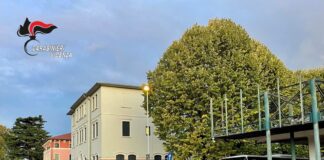 Caltrano, spaventa il vicino agitando un’ascia, intervengono i carabinieri: denunciato 39enne per minaccia aggravata carabinieri thiene controlli denuncia caltrano