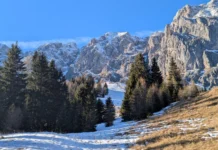 Sostenibilità a tavola: il CAI di Vicenza riflette sull’impatto delle scelte alimentari sul pianeta montagna cai vicenza veneto