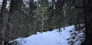 Tragedia sull’Altopiano: malore fatale durante una ciaspolata, muore commerciante vicentino Roberto Capponi Vicenza