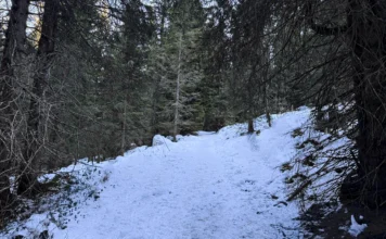 Tragedia sull’Altopiano: malore fatale durante una ciaspolata, muore commerciante vicentino Roberto Capponi Vicenza