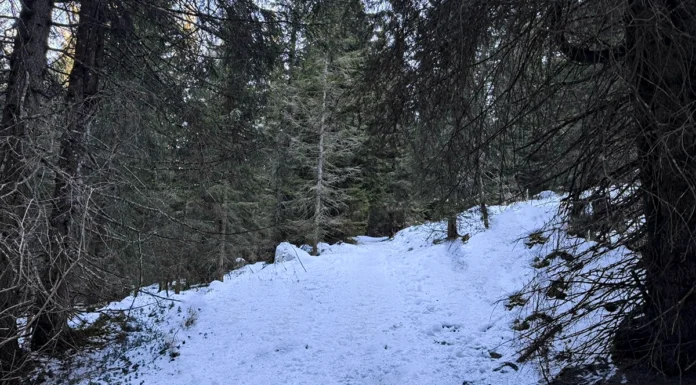 Tragedia sull’Altopiano: malore fatale durante una ciaspolata, muore commerciante vicentino Roberto Capponi Vicenza