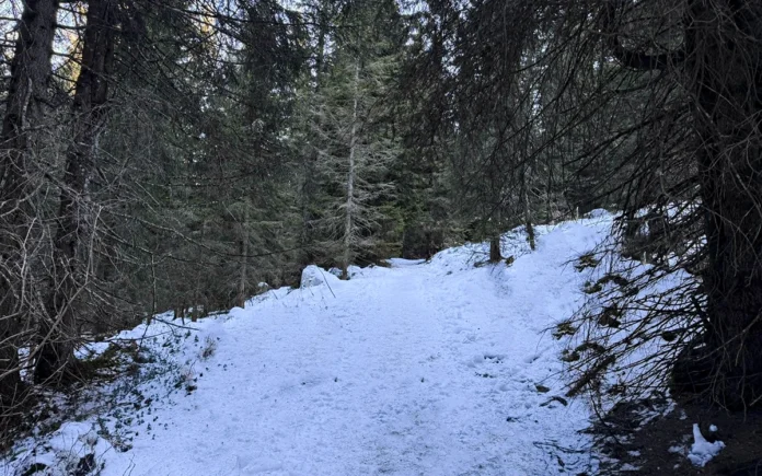 Roberto Capponi Vicenza