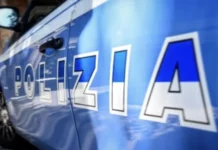 Vicenza, incastrato dall’app YouPol: arrestato spacciatore 20enne con pitbull arresto spaccio vicenza