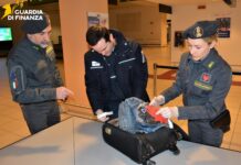 Guardia di Finanza Treviso e Dogane, 247 turisti sanzionati al Canova per valuta, droga e contraffazione Guardia di Finanza Treviso e Dogane all'aeroporto Canova di Treviso