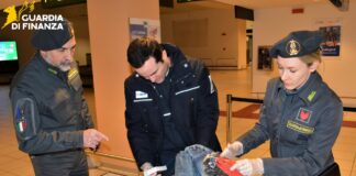 Guardia di Finanza Treviso e Dogane, 247 turisti sanzionati al Canova per valuta, droga e contraffazione Guardia di Finanza Treviso e Dogane all'aeroporto Canova di Treviso