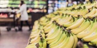 Banana tra potassio e rischio glicemia, meglio acerba o matura? Cosa dice l’esperto