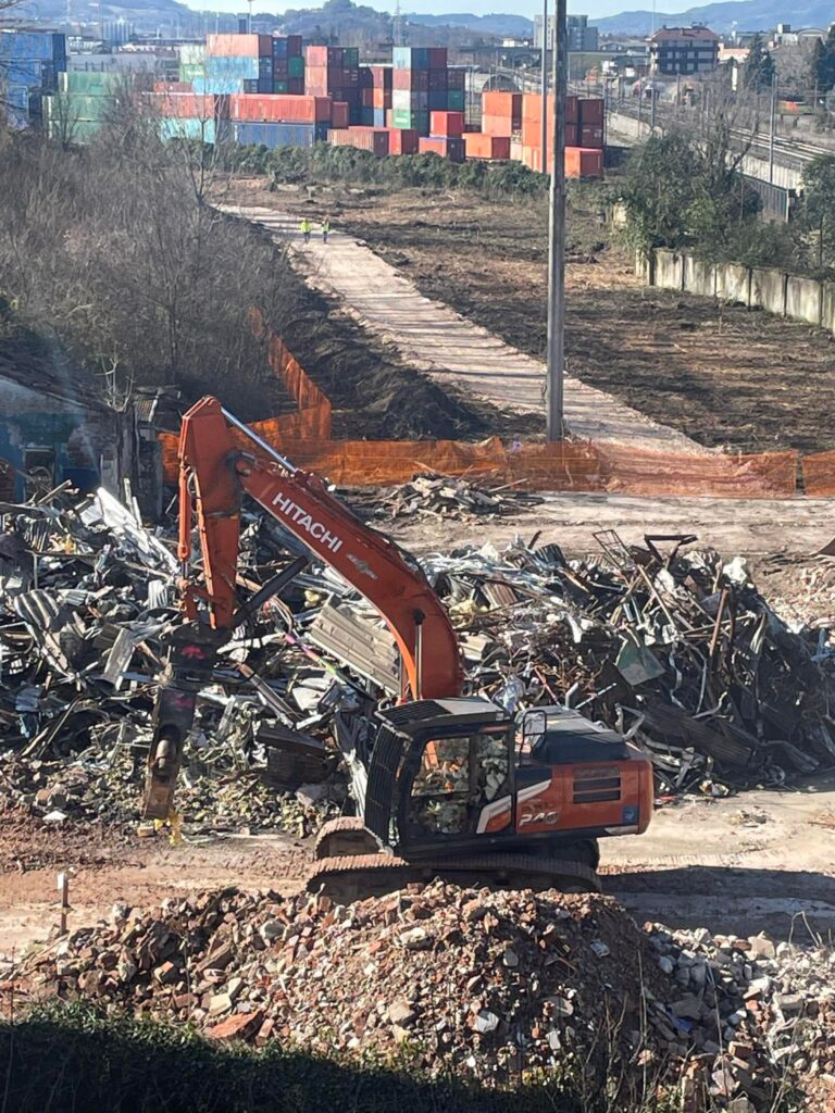 Bosco Lanerossi, alberi eliminati