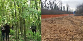 Assemblea dei boschi che Resistono: “sul Bosco Lanerossi a Vicenza chiediamo trasparenza sui cantieri TAV” Trasparenza sui cantieri TAV a Vicenza: Bosco Lanerossi, gli alberi prima e dopo i tagli