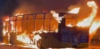 Bus in fiamme in Svizzera, 6 morti a Kerzers: “Un uomo si è dato fuoco”